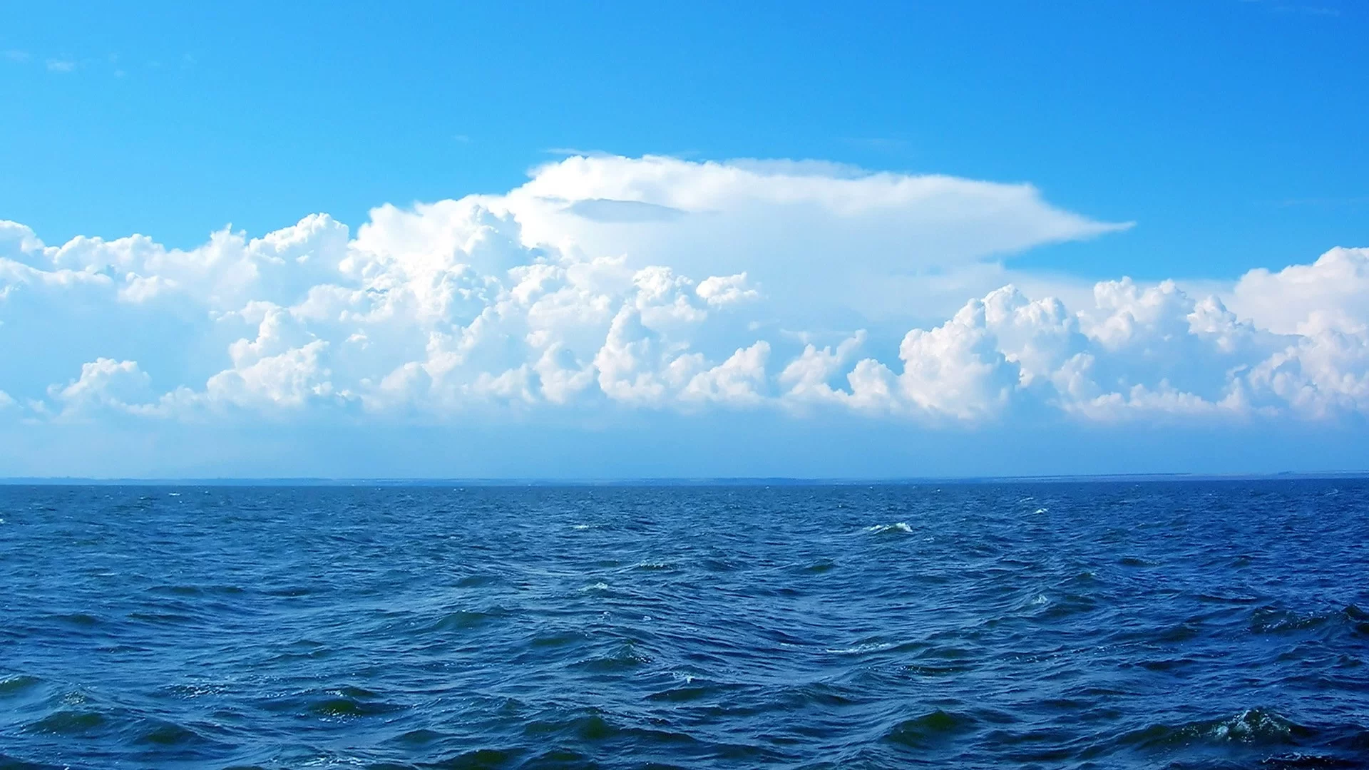 大学生副业网 - 网上挣钱，时间自由。实战教程，亲测靠谱。找工作提升 90% 竞争力！