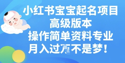 小红书宝宝起名项目高级版本，操作简单，资料专业，月入过W-大学生副业网