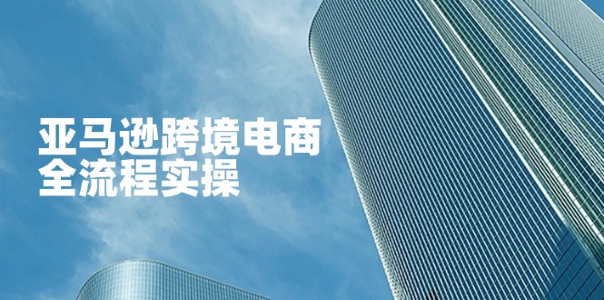 （14252期）亚马逊跨境电商全流程实操，教你从零开始，掌握店铺运营与广告技巧-大学生副业网