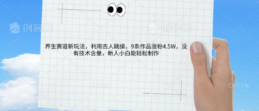 AI养生赛道新玩法，10条作品涨粉5.2W，操作简单，新人小白能轻松制作-大学生副业网