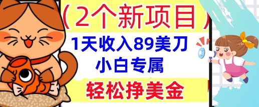 2个新项目，轻松挣美金， 1天收入89美刀，小白专属，干货分享-大学生副业网