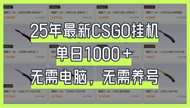 （14178期）25年最新CSGO挂机系统，单日1000+，无需电脑，无需养号，0基础可上手-大学生副业网