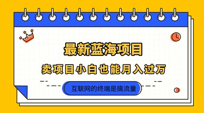 （14289期）2025年最新蓝海项目，卖项目小白也能月入过万-大学生副业网
