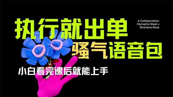（14170期）爆火全网的开车导航骚气语音包,只要执行就出单，小白看完课程就能实操...-大学生副业网