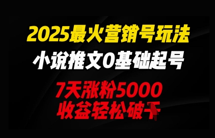 2025最火营销号玩法：小说推文0基础起号，7天涨粉5000，收益轻松破k-大学生副业网
