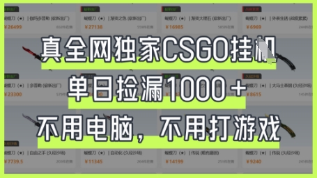 真全网独家CSGO挂G，单日捡漏1k+【揭秘】-大学生副业网