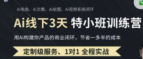 AI实操培训第20-21期线下，0基础保姆级教程，3月最新整理，企业获客、降本增效、打造超级个体-大学生副业网