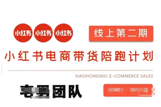 小红书电商带货课2期，月利润20个的小红书电商的有货源，无货源，虚拟产品，付费投流等整套玩法-大学生副业网